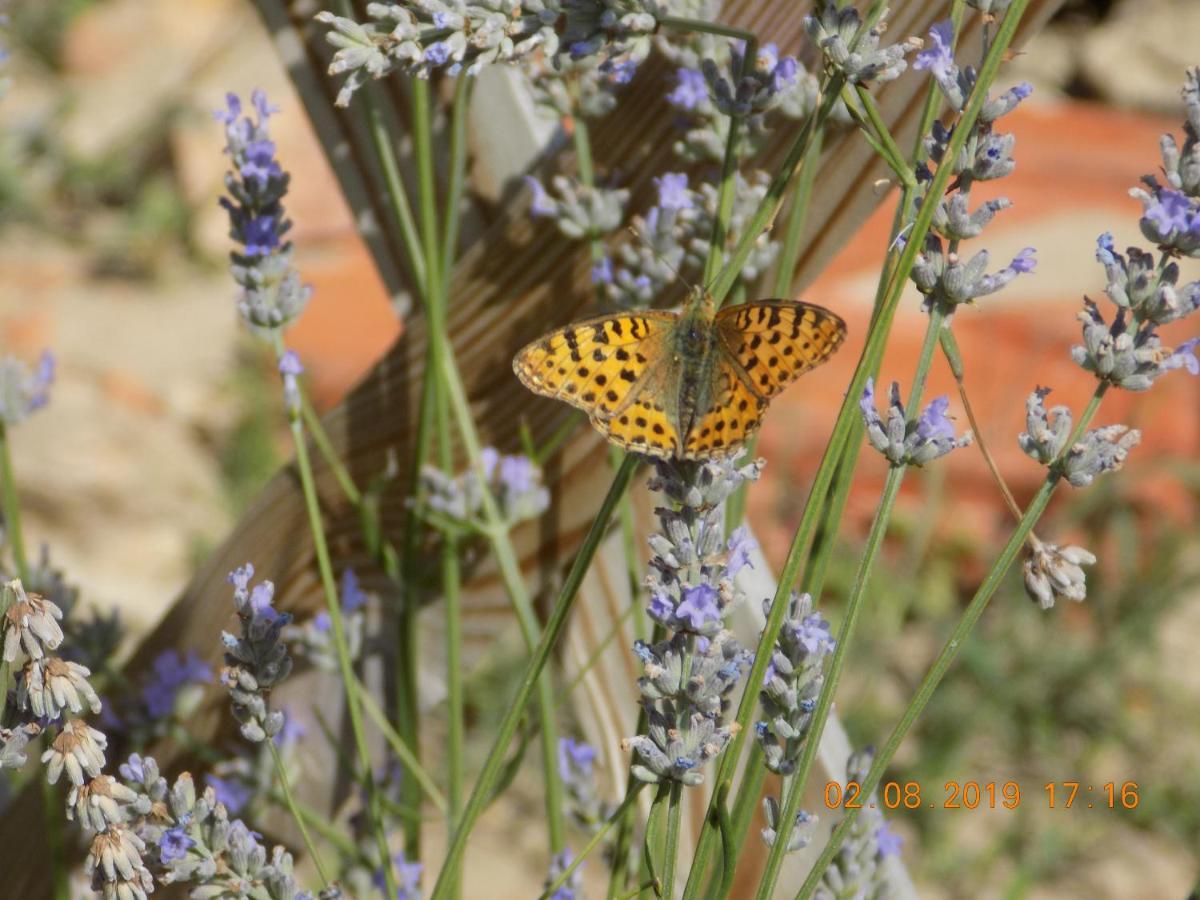 Les Papillons Vrolle Exterior foto