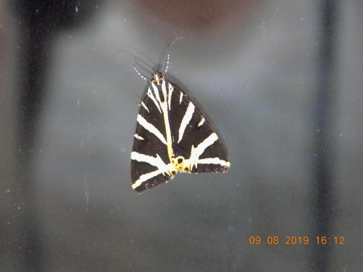 Les Papillons Vrolle Exterior foto